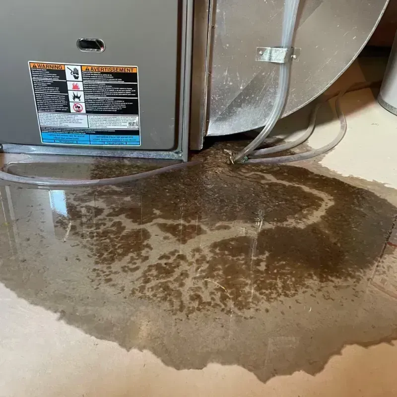 Appliance Leak Cleanup in Garrett, WA